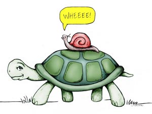 Tim-turtle-snail