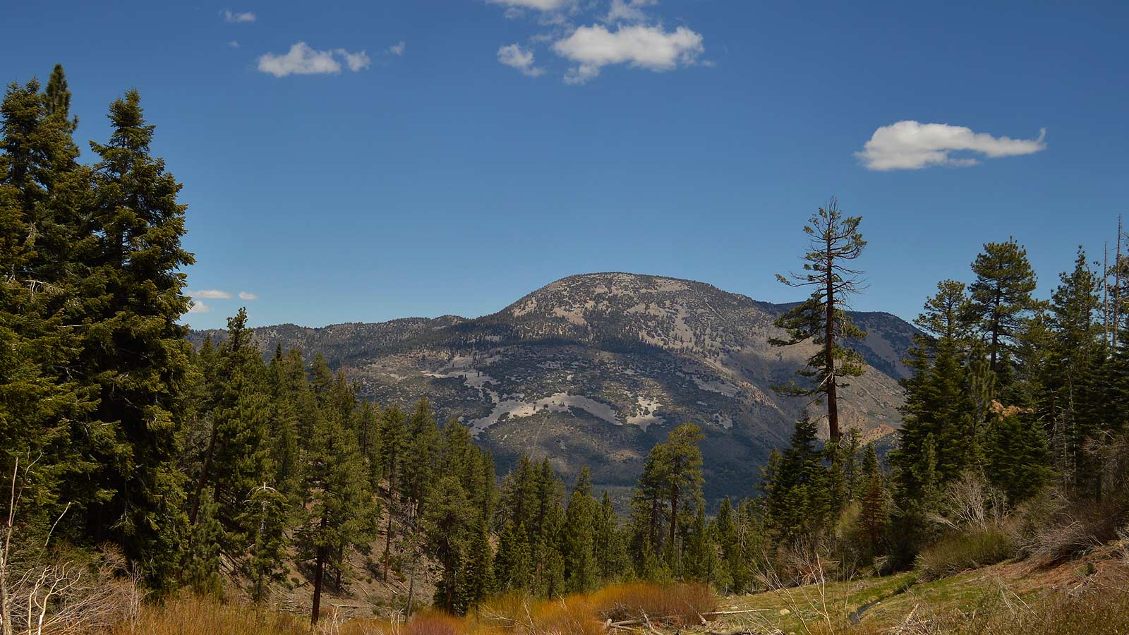 Outdoor Education School Science Camps California