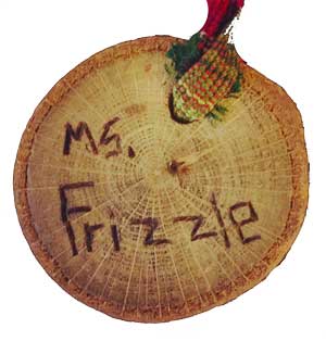 frizzle-5