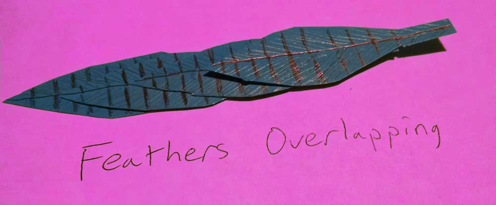 Feathers-1